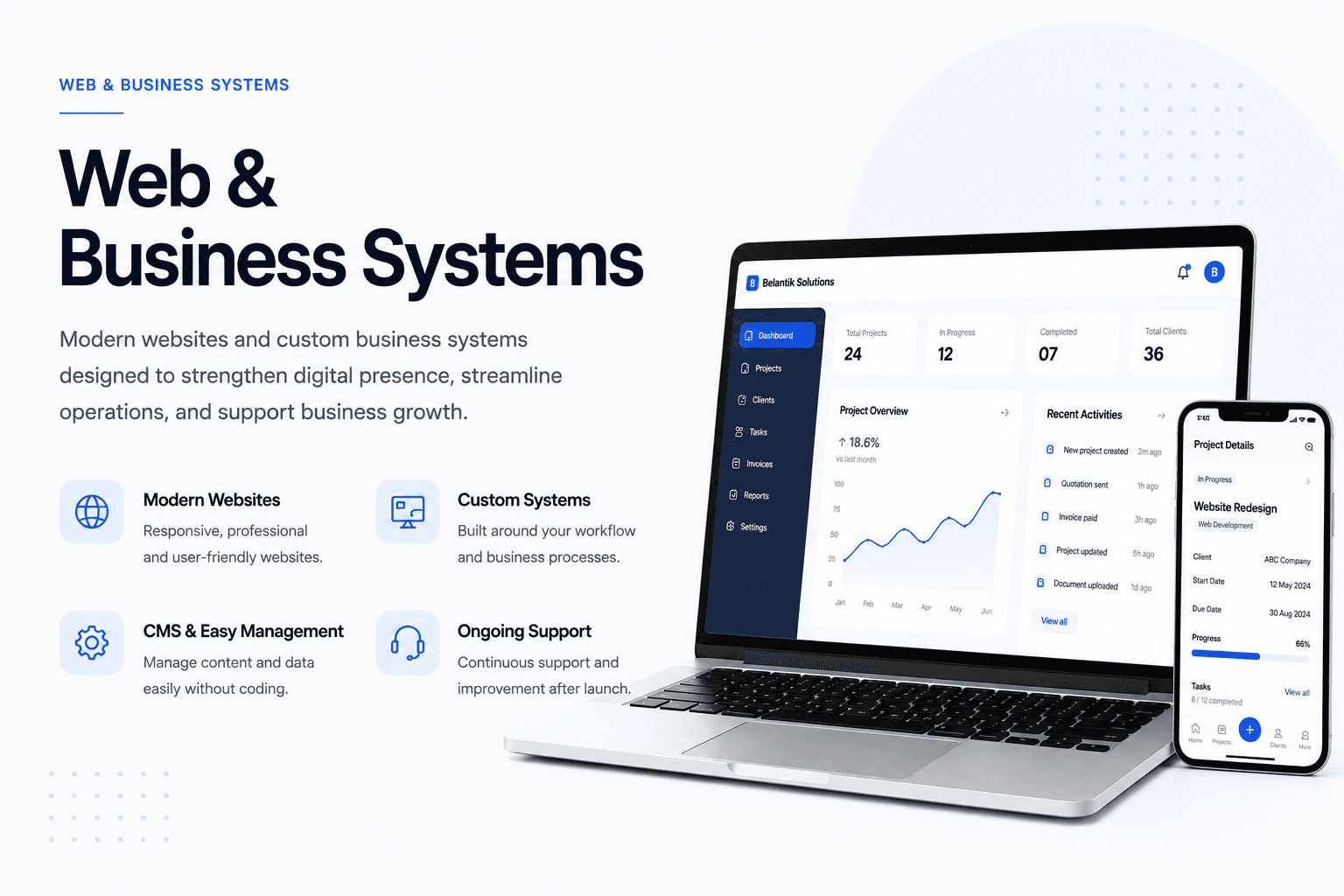 Web and business systems interface preview